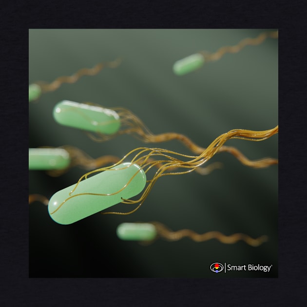 Bacteria Swimming by Smart Biology